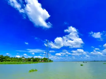 আশা ছাড়তে নেই ঝরে পড়া ফল। থেকেও নতুন গাছের জন্য হয় ❤️‍🩹☺️#foryou #foryoupage #vairal #unfrezzmyaccount #foryoupageofficiall 