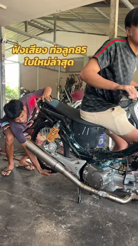 ท่อลูก85 ใบใหม่กิ้งๆ