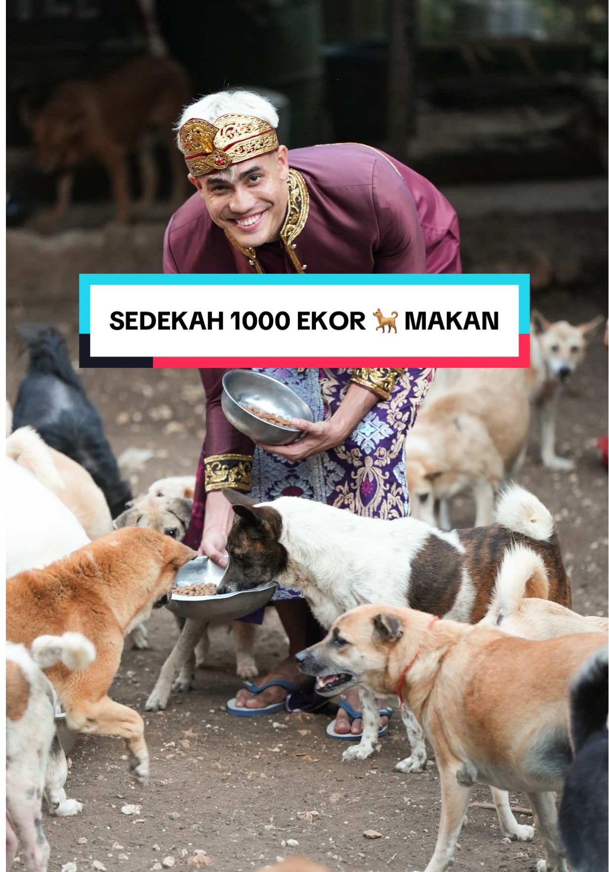 haiwan di ciptakan tuhan harus dihargai #bali #aisarsultanmalaysia #🐕 