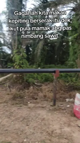 sabar ya dek#fyp #fypシ #petanisawit 