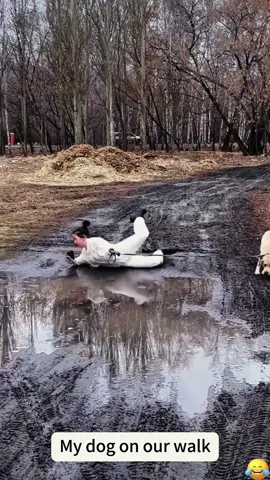 A moment while walking the dog😂#funny #funnymoments #funnyvideos #dog#tiktok 
