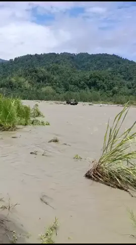di Papua bkn di Seko yaa😁#papua #4×4 #truck #viral #tiktok #masukberanda #fyp 
