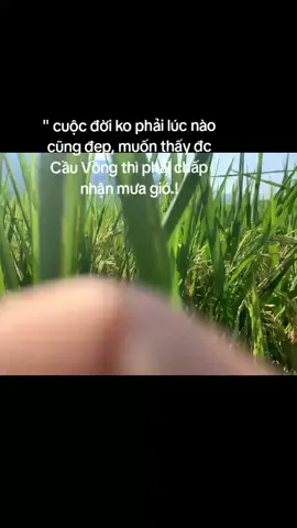 phải chấp nhận..#viral #xuhuong 