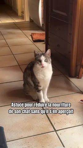 Parce que t’es resté en plus ? 