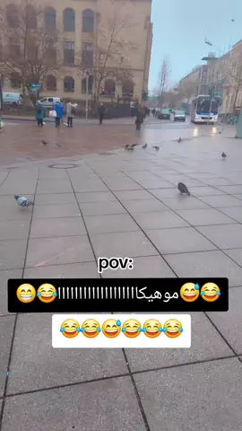 موهيكاااااااااااااااااااااا 😅😂😅😁#ترند_تيك_توك #هاشتاقات_تيك_توك_العرب❤️❤️❤️ #😂😂😂 #😁😁😁 