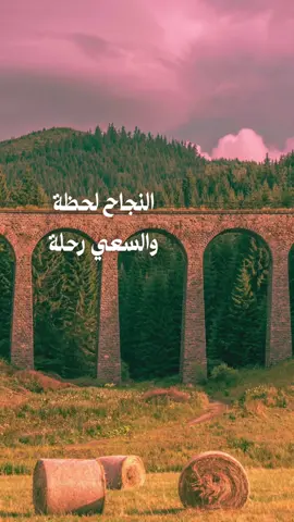 استمتع بالرحلة فهي في الحقيقة أثمن من الوصول #fyp #خواطر_عبارات_اقتباسات #حكم #اكسبلور #foryo 