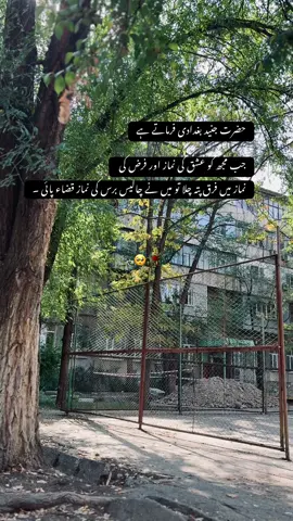 حضرت جنید بغدادی فرماتے ہے جب مجھ کو عشق کی نماز اور فرض کی نماز میں فرق پتہ چلا تو میں نے چالیس برس کی نماز قضاء پائی ۔🥺 #feelistic #Repost #trendingvideo #unfrezzmyaccount #growmyaccount 