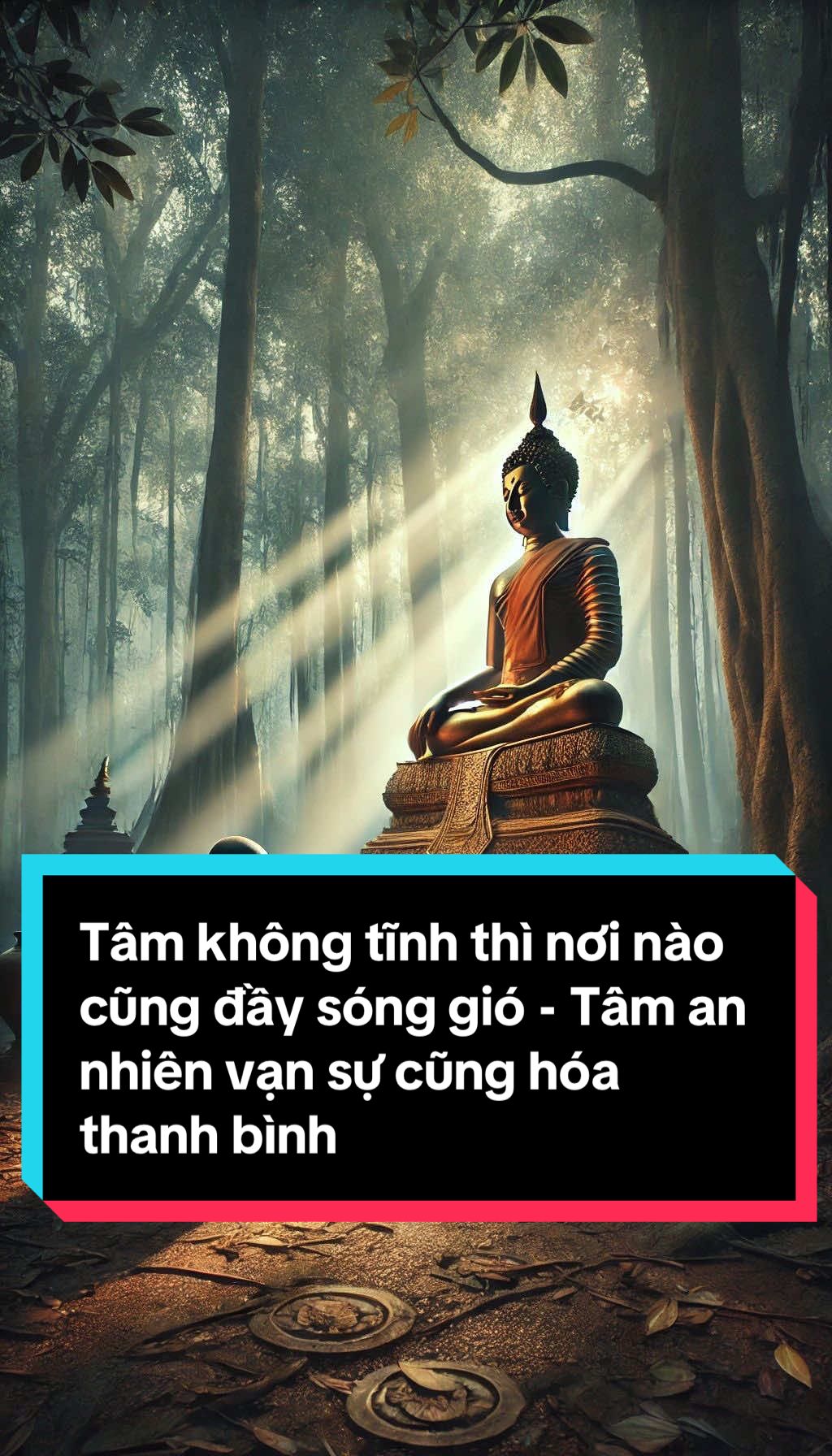 Mỗi ngày hãy giành vài khoảng lặng để tĩnh lặng nhé....  #nangluongtichcuc💪🍀   #phattrienbanthan   #noitam   #thinhhanhtiktok   #nhansinhquan 