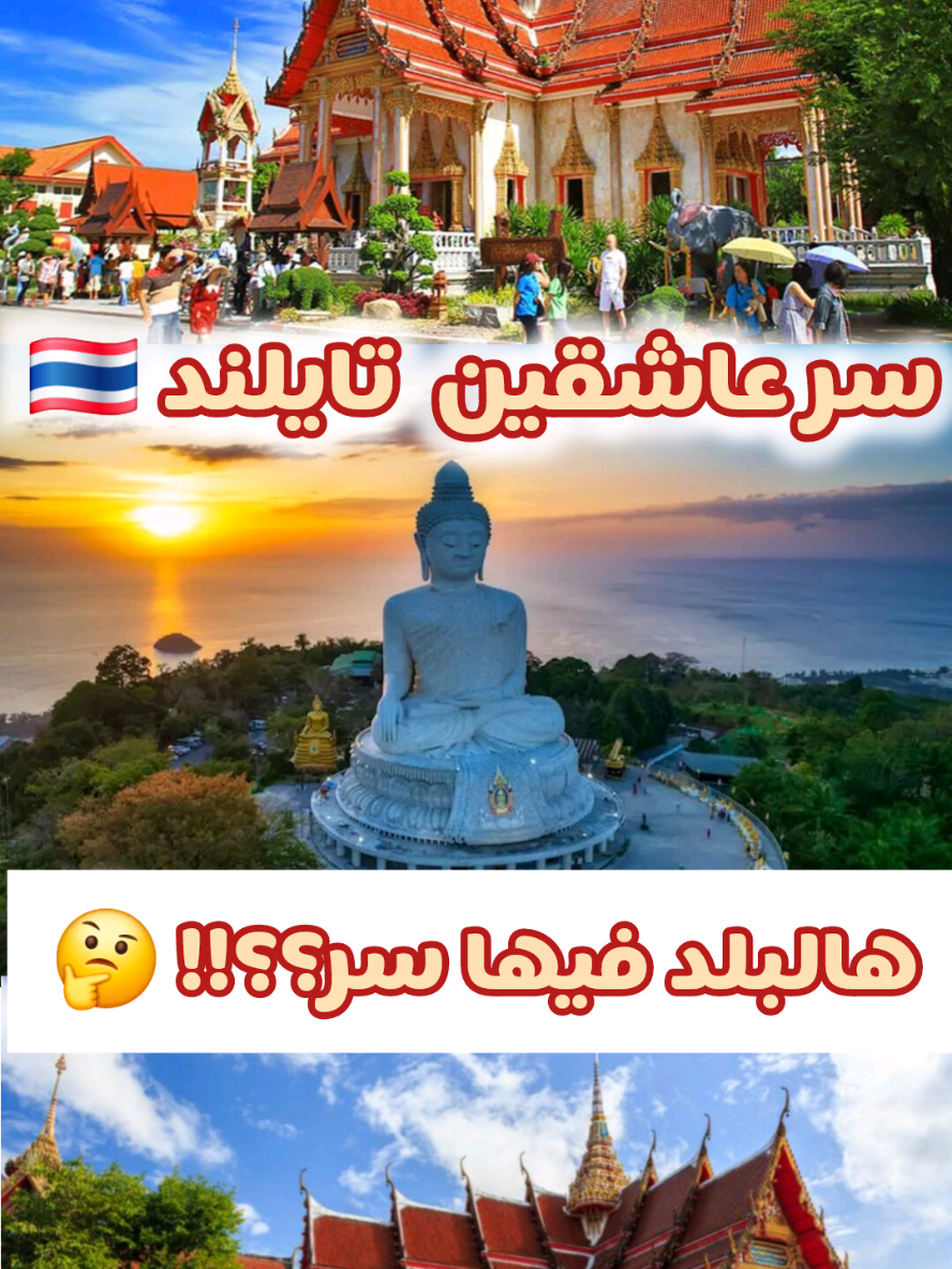 ايش سر عشق هالبلد؟؟؟!! 🤔 #patong #بوكيت #كرابي #بتايا #بانكوك 