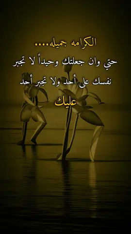 #اقتباسات #عبارات #ايرين #الكرامه جميله.... حتي وان جعلتك وحيداً لا تجبر نفسك على أحد ولا تجبر أحد عليك...