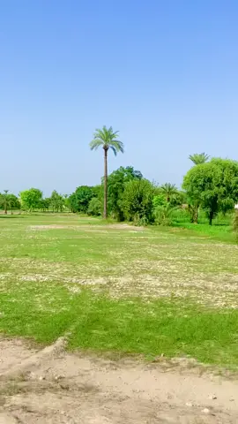 Simple beauty of rural village area #rurallife 