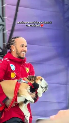 i need this dog to pull through more than anything🥲 edit: lewis released a statement this morning confirming the passing of beautiful roscoe, i’m sending all the love to him right now whilst he navigates this tragic time❤️‍🩹 #lewishamilton #lh44 #roscoe #hamilton #ferrari 