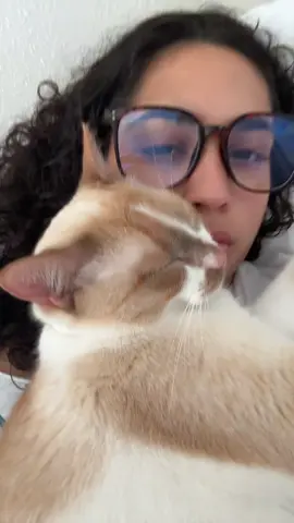 Goodmorning from my angel and I #fyp #foryou #cats #catsoftiktok #texas