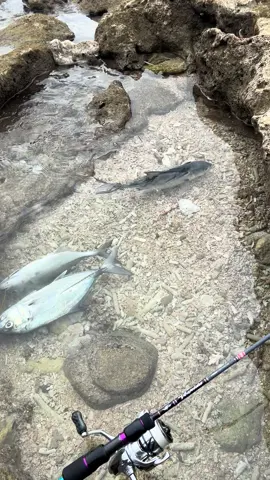 Masi berusaha cari jalan keluar. #fishinglife #acehbesar 