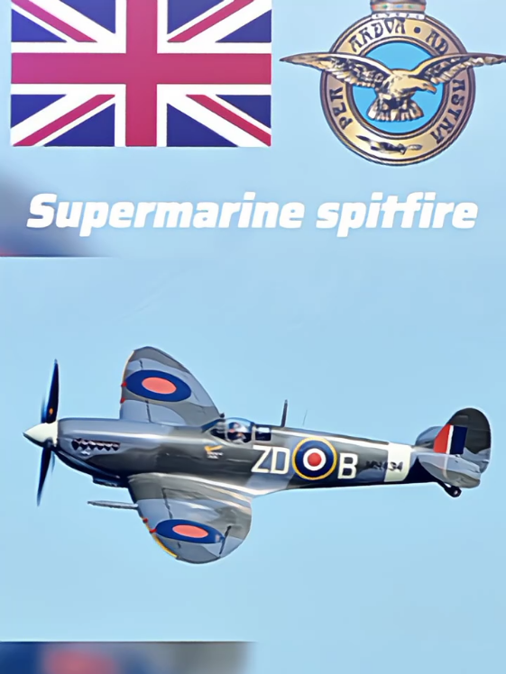 Supermarine Spitfire adalah pesawat tempur ikonik yang berperan krusial dalam keberhasilan Angkatan Udara Kerajaan (RAF) Britania Raya saat melawan serangan udara Luftwaffe Jerman dalam Pertempuran Britania tahun 1940. Pesawat ini dikenal luas berkat kecepatannya, kelincahannya, serta desain sayap elips yang khas, menjadikannya salah satu pesawat tempur paling terkenal dalam sejarah penerbangan.  Sejarah dan pengembangan Asal mula: Rancangan awal Spitfire oleh R. J. Mitchell dipengaruhi oleh pengalamannya merancang pesawat balap yang memenangkan Schneider Trophy pada tahun 1920-an. Penerbangan perdana: Prototipe Spitfire pertama terbang pada 5 Maret 1936. Mesin: Awalnya ditenagai oleh mesin Rolls-Royce Merlin, yang menjadi kunci kesuksesannya. Varian Spitfire selanjutnya menggunakan mesin Rolls-Royce Griffon yang lebih bertenaga. Produksi: Lebih dari 20.000 unit Spitfire diproduksi antara tahun 1938 hingga 1948, menjadikannya satu-satunya pesawat tempur Sekutu yang diproduksi sepanjang Perang Dunia II.  Peran dalam Perang Dunia II Pertempuran Britania: Selama pertempuran penting ini, meskipun pesawat Hawker Hurricane dalam jumlah lebih banyak, Spitfire memainkan peran vital dalam melawan pesawat tempur Jerman, terutama Messerschmitt Bf-109, berkat performa superiornya di ketinggian. Superioritas udara: Sayap elips yang ramping pada Spitfire memungkinkan manuver yang luar biasa, sehingga pilot RAF bisa mengalahkan musuh dalam pertempuran udara jarak dekat. Misi beragam: Seiring berjalannya perang, Spitfire beradaptasi untuk menjalankan berbagai peran, termasuk: Pengintai foto: Versi khusus dilucuti persenjataannya dan dipasangi kamera untuk misi pengintaian berkecepatan tinggi dan ketinggian tinggi. Pengebom tukik: Varian kemudian mampu membawa bom untuk misi serangan darat. Pencegat V-1: Versi bertenaga Griffon digunakan untuk menembak jatuh bom terbang V-1. Medan pertempuran: Spitfire bertugas di berbagai front, termasuk di Eropa, Afrika Utara, Pasifik, dan Asia Tenggara.  Spesifikasi teknis (contoh Spitfire Mk VB) Kru: 1. Panjang: 9,12 meter. Rentang sayap: 11,23 meter. Kecepatan maksimal: 600 km/jam. Mesin: Rolls-Royce Merlin 45 dengan 1.470 hp. Persenjataan: Biasanya kombinasi senapan mesin Browning dan meriam Hispano 20 mm.  Warisan Ikon nasional: Spitfire menjadi simbol tekad dan perlawanan Inggris selama Perang Dunia II. Inovasi: Desain dasarnya terbukti sangat adaptif, memungkinkan banyak peningkatan sepanjang perang. Penggunaan pascaperang: Spitfire terus digunakan oleh beberapa angkatan udara setelah perang hingga tahun 1950-an, bahkan terlihat beraksi dalam konflik seperti Perang Arab-Israel 1948. Penerbangan Memorial: Beberapa Spitfire masih terbang hingga kini sebagai bagian dari Battle of Britain Memorial Flight di RAF. #foryou #fyp #pesawat