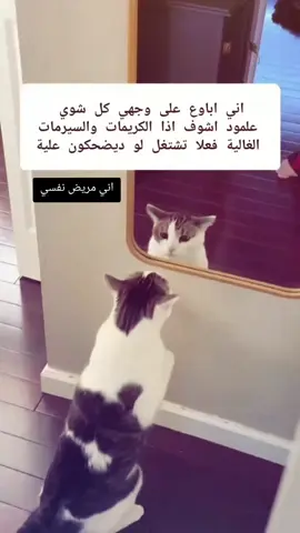سوي فولو واضحك #شعب_الصيني_ماله_حل😂😂 #اكسبلورexplore #ضحك #طلاب_الجامعات #بنات 