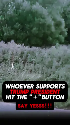 #Original#trump #godblessamerica #godbless #trumpsupporters  