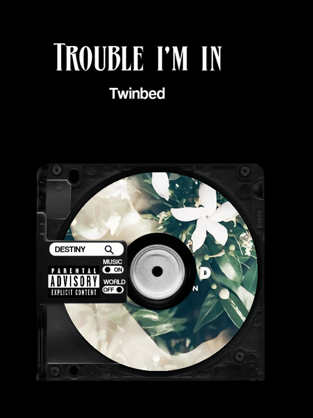 Trouble i'm in // Twinbed#mmsublyrics #fyp 