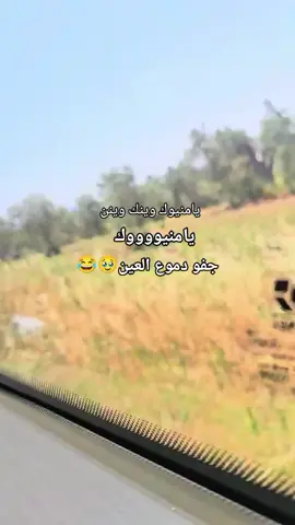 ترند عادي 🥹😂#شعب_الصيني_ماله_حل😂😂 