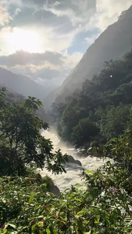 #nature #lowkey77 #relatable 