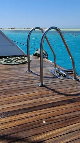 شرم الشيخ ياناس #سياحة_عربية #TravelEgypt #foryou #شرم_الشيخ #مشاهدات 