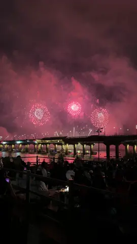 Seoul thành phố hoa lệ🎆🎇 #seoul #korea #phaohoa #서울#서우ᄅ 