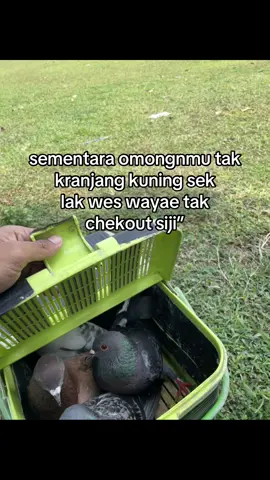 🙌🏼#fyp #doroansuroboyo #bardhogteam #merpatikolong #fyppppppppppppppppppppppp 