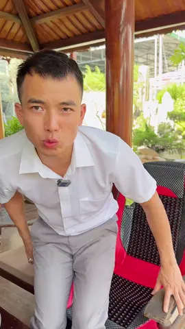 Lót Ghế Hạt Gỗ, #lotgheoto #lotghehatgo #phukienoto 