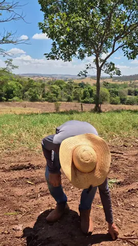 novinha do Severino #mercadoagricola e a 