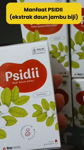 Lagi turun trombosit karena DBD? Jangan panik! Ada Psidii kapsul di apotek kami 🍃 Herbal ekstrak daun jambu biji yang bantu meningkatkan trombosit & dukung pemulihan lebih cepat. #Psidii #ApotekSehat #NaikkanTrombosit #DemamBerdarah #HerbalJambuBiji