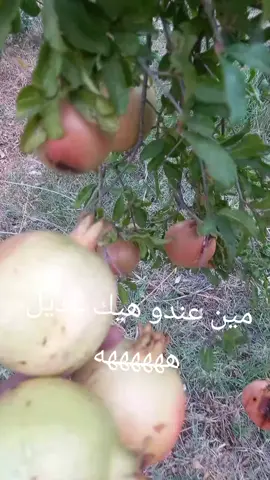 طعمي نفسك ب نفسك ههه#foryoupage #بطاح #لبنان_مصر_الخليج_سوريا #كوميدي #مشاهير 