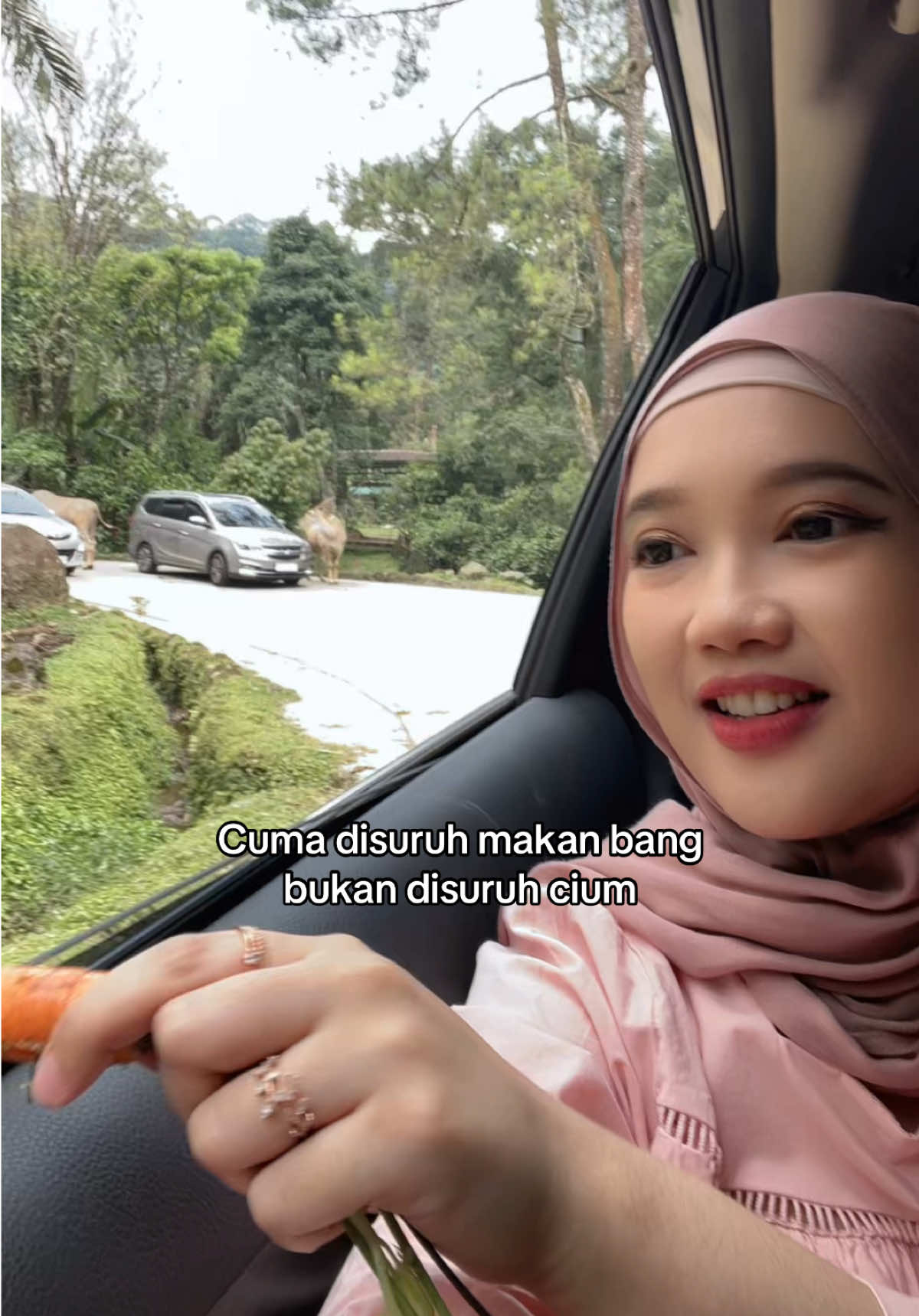 Agresif bgt akh laki laki jaman sekarang