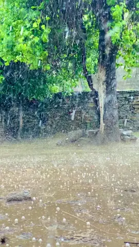 Baran 🌧️😘 #foryou #100kviews #foryoupage #foryoupage #pleaseunfrezzemyaccount 