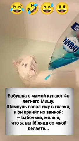 #кот #смешноевидео #смехдослез #умора #анекдот #😸 