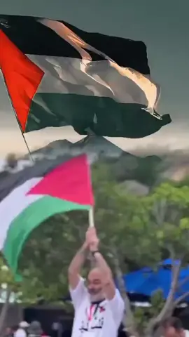 from the river to the see palisteine will be free❤️ #palistine🇵🇸♥️🇵🇸 #creatorsearchinsights #channelmesseged #channelmesseged 