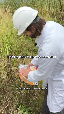 Какие у вас любимые оттенки?