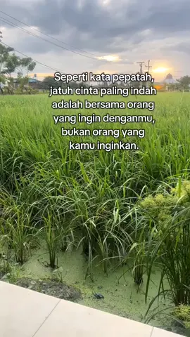 kamu hanya kurang beruntung 🥀😌 #jowostory #fyp  #jowopride #cidro3 