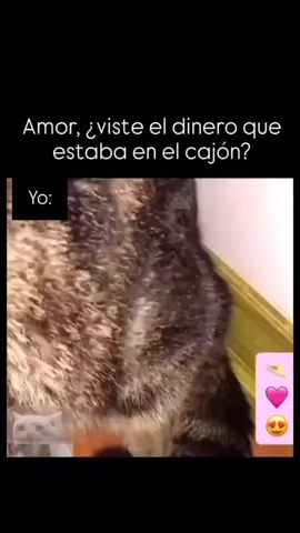 Creo que si lo miro 🤣