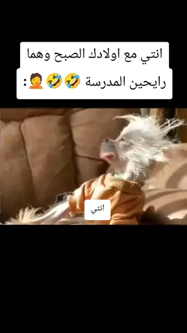 #شكلك_الحقيقي #منشنها #foryou #الشعب_الصيني_ماله_حل😂😂 
