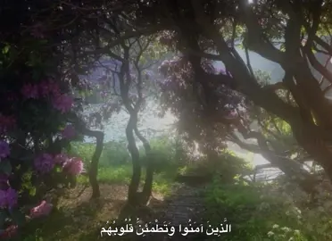 #المنشاوي #quran #quran_alkarim 
