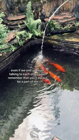 ☹️ #fyp 