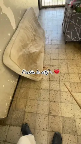 La city😭 #fyyyyyyyyyyyyyyyy #الشعب_الصيني_ماله_حل😂😂 #usthb #veterinaria #algeria 