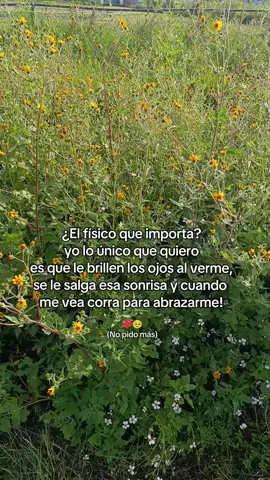 No pido más ❤️🥹#novio #amor #parati #fypシ゚viral 