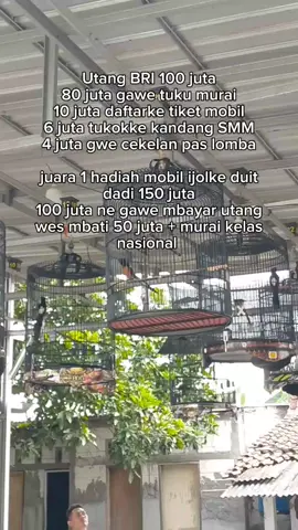 puenak Leh bayangke🤣 #fypage #kicaumania#kicaumaniaindonesia #muraibatuindonesia #foryoupageofficiall #muraibatumania #kicaumania