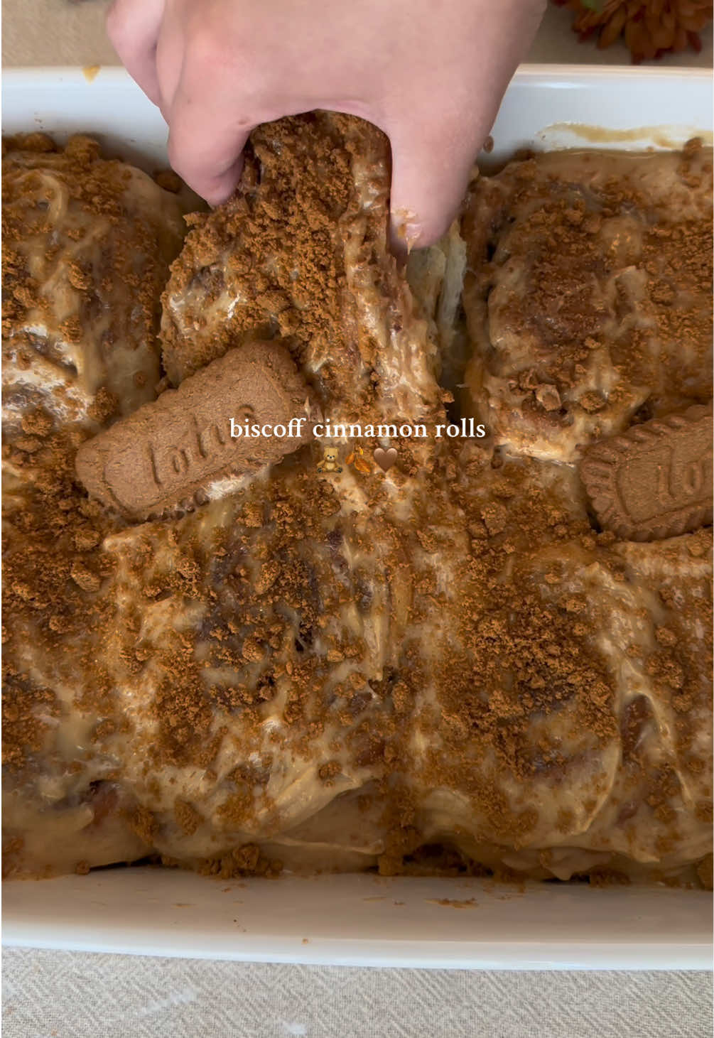 Biscoff Cinnamon Rolls 🤎 (makes ~8 rolls) Dough: ¾ cup (180g) warm milk 1 packet instant yeast (2¼ tsp/7g) *if using active dry yeast, gently stir it in with the warm milk and sugar then let sit 5-10 min until foamy) ¼ cup (50g) granulated sugar 1 egg + 1 egg yolk, room temp ¼ cup (57g) unsalted butter, melted  3-3½ cups (360-420g) all purpose flour (start with 3 cups and only add more if it's super sticky) ¾ tsp salt optional: ⅓-½ cup warm heavy cream to pour over the rolls before baking Biscoff cinnamon filling: ⅓ cup (76g) unsalted butter, softened ⅓ cup (~80g) Biscoff spread/cookie butter ¾ cup (165g) brown sugar, packed 1½ tbsp cinnamon + crushed Biscoff cookies Cream cheese icing: 6oz (170g) cream cheese, room temp (block style, not spreadable) ¼ cup (57g) unsalted butter, room temp  ⅓ cup (~80g) biscoff spread 1 cup (120g) powdered sugar ½ tsp vanilla Instructions: Combine the warm milk and instant yeast. Add sugar, eggs, and melted butter, mix. Stir in salt and flour. Mix until a soft dough forms. Knead the dough for 8-10 min. Place in a lightly greased bowl, cover, and let rise for 1-1½ hrs or until doubled. For the biscoff cinnamon filling, mix the soft butter, biscoff spread, brown sugar, and cinnamon until combined and spreadable. Roll dough into about a 9x14in rectangle. Spread biscoff cinnamon filling evenly and scatter the crushed biscoff cookies on top of it. I like to use a pizza cutter or knife to first slice 8 pieces then roll them each up tightly. (Or you can tightly roll the whole thing then slice) Place in greased 9x13 pan (it could also probably fit tightly in a 9x9). Cover and let rise 35-45 min. Pour warm heavy cream over the rolls right before baking. Bake at 350°F for 22-28 min until golden. (tent with foil towards the end if the tops are browning too quickly) To make the icing, beat cream cheese, butter, and biscoff spread together until smooth. Then, beat in powdered sugar and vanilla until fully combined. Spread over warm rolls and sprinkle extra crushed biscoff cookies over the top. Enjoy! biscoff/cookie butter and cinnamon rolls are my new favorite combo 🤭#bakingrecipe #cookiebutter #cinnamonrolls #bakingszn 