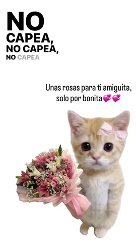 #paratiiiiiiiiiiiiiiiiiiiiiiiiiiiiiii #virallllllllllllllllllllllllll #rosas #amigas🤞🏻💕 #fyppppppppppppppppppppppp 