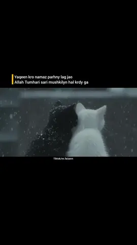 Allah, hum sab gunahgaar hain, kamzor hain, par teri rehmat bohot bari hai. Har dua jo humari zubaan se nikalti hai, woh tere Arsh tak jati hai. Tu hamesha sunta hai, chahe hum chup ho ya rote ho. Ya Rabb, hamari mushkilat door kar, dilon ko sukoon de aur hamesha apni rahmat mein rakh.🥺