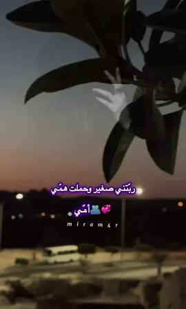 ربّتني صغير وحملت همّي#أمي أعزّ الناس#💞🫂#fypシ゚ #fouryou #تصويري_احترافي_الاجواء👌🏻🕊😴 