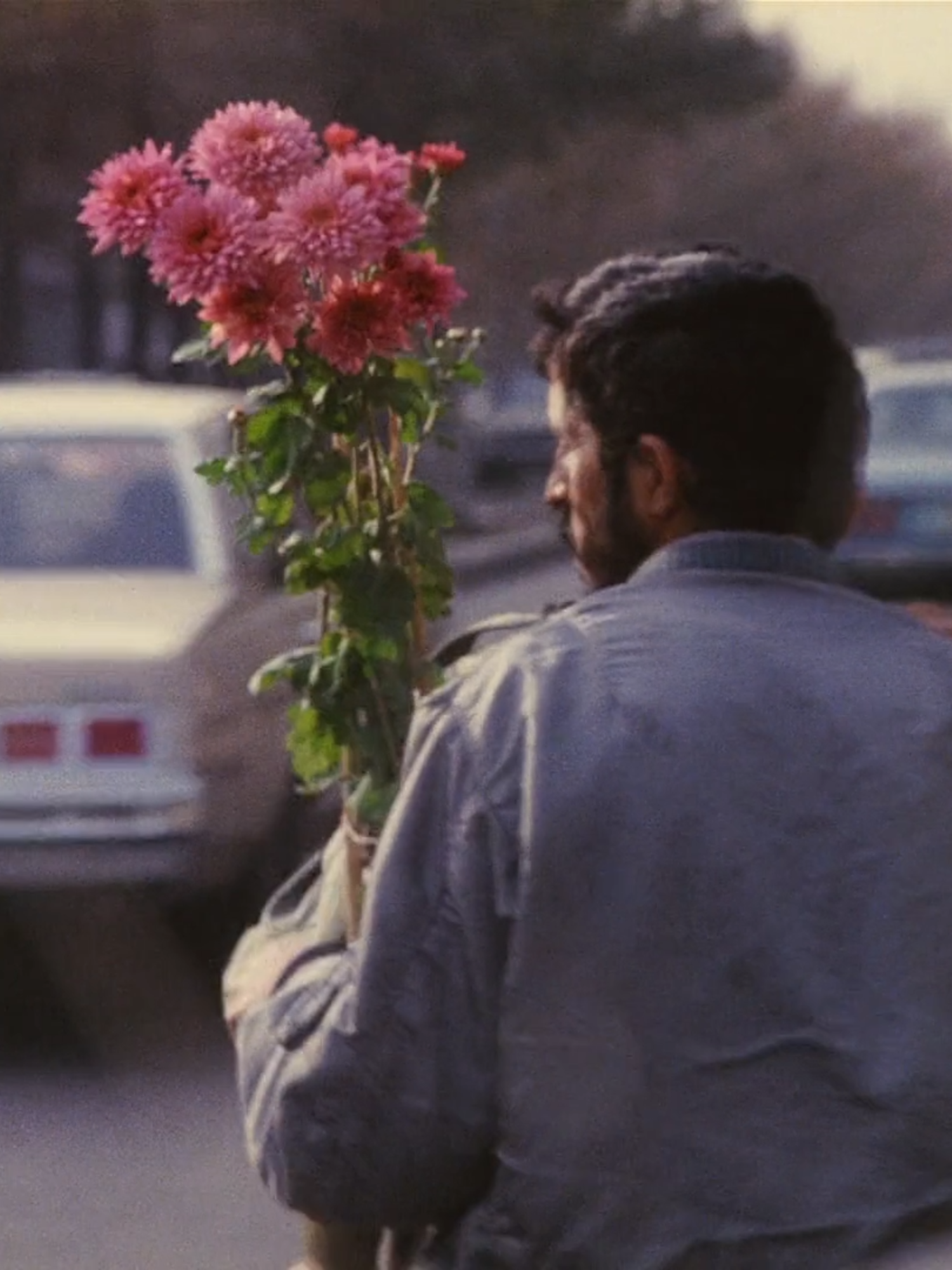 The Poet of Cinema - Abbas Kiarostami #edit #abbaskiarostami #filmography #iraniancinema #filmtok