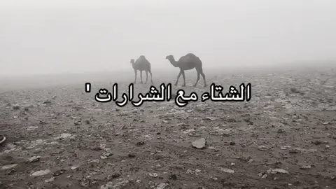 #الشرارات #fyp #الجوف# #الحدود_الشماليه #اكسبلور 